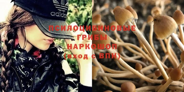 метадон Алексин